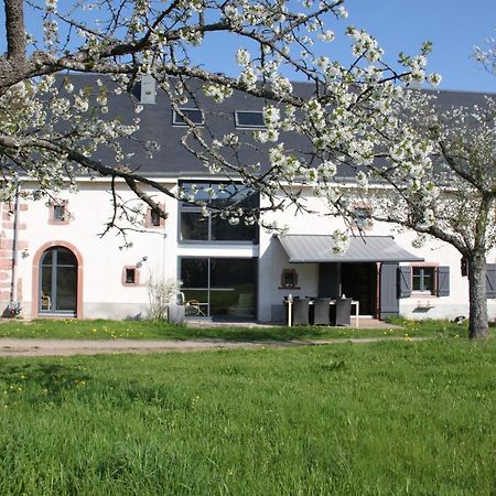 La Colline Du Baa - Maison D'Hotes D'Exception Lapoutroie Exteriér fotografie