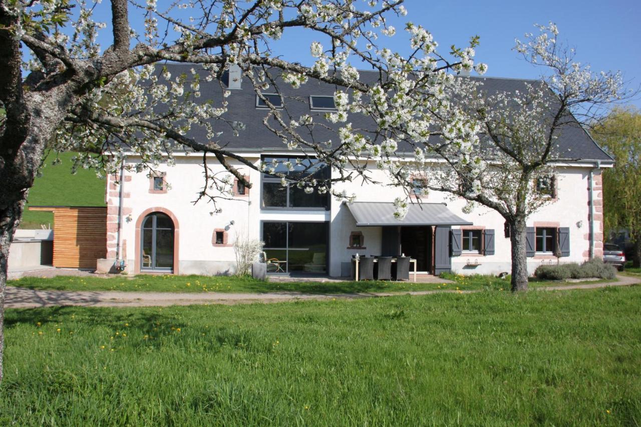 La Colline Du Baa - Maison D'Hotes D'Exception Lapoutroie Exteriér fotografie