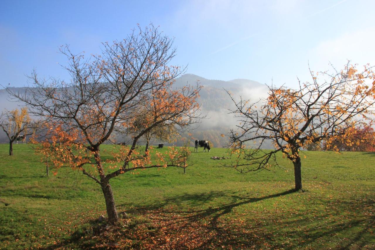 La Colline Du Baa - Maison D'Hotes D'Exception Lapoutroie Exteriér fotografie